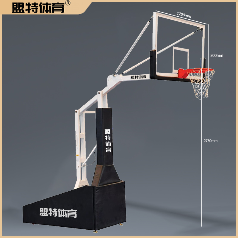 可调节篮球架推荐-谈求吧官网源头工厂